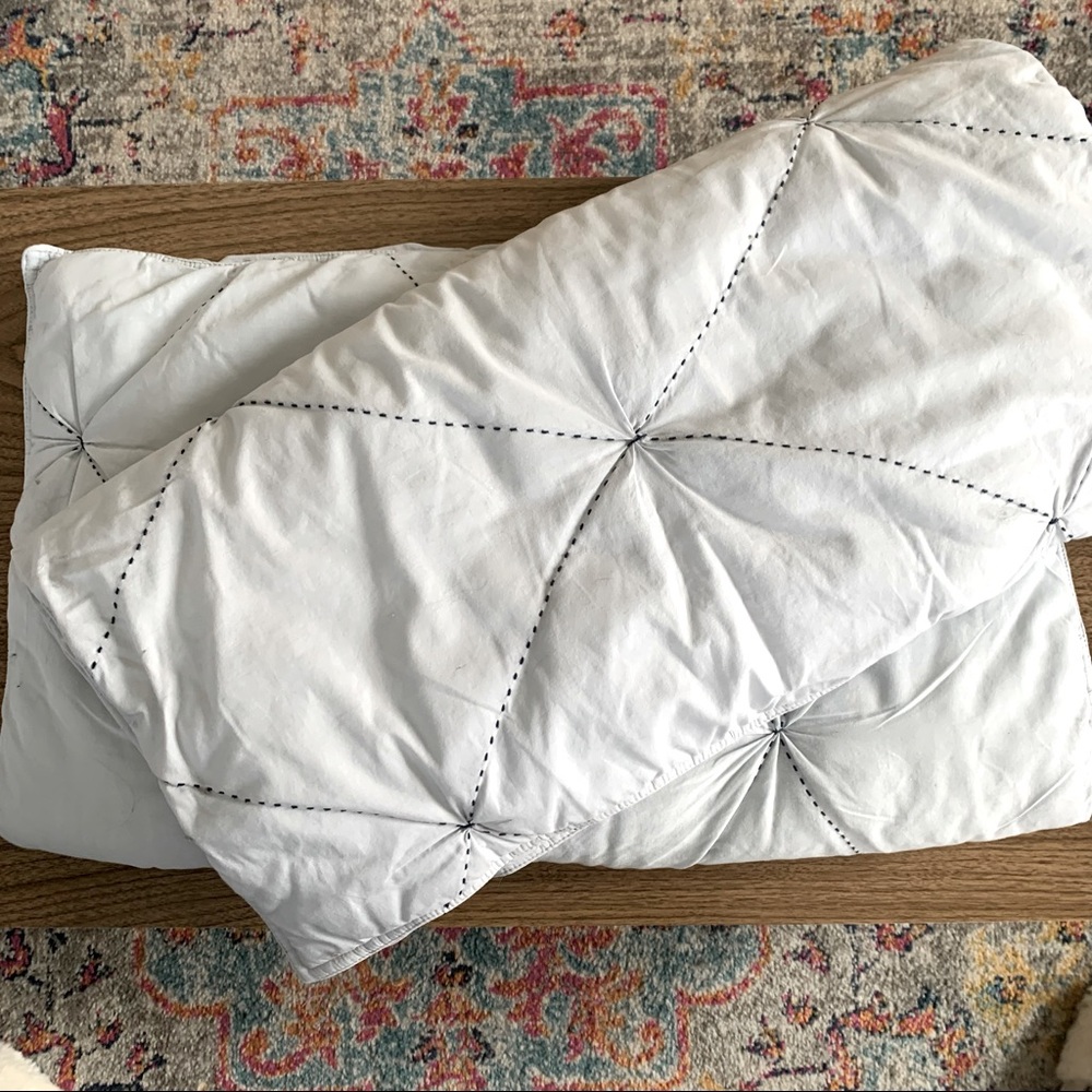 (2) West Elm Quilted Euro Shams
